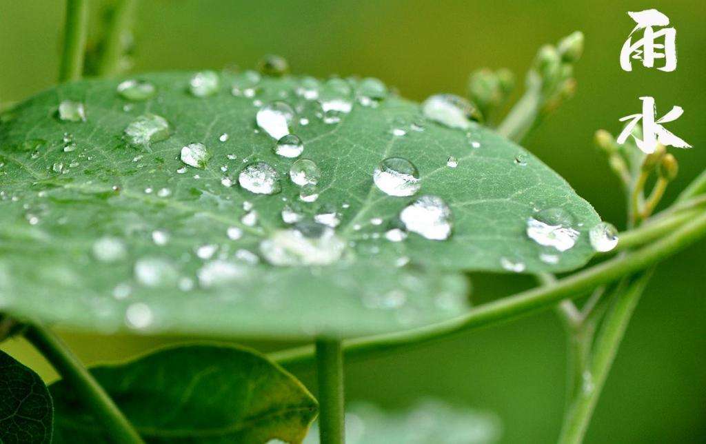 雨水！